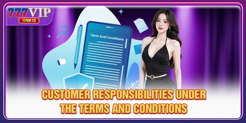 Terms and Conditions 3 Customer responsibilities under the terms and conditions
