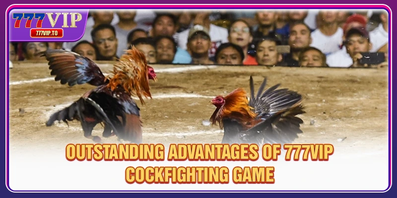 777VIP Cockfighting - Winning Strategies From Experts 1 Outstanding advantages of 777VIP cockfighting game