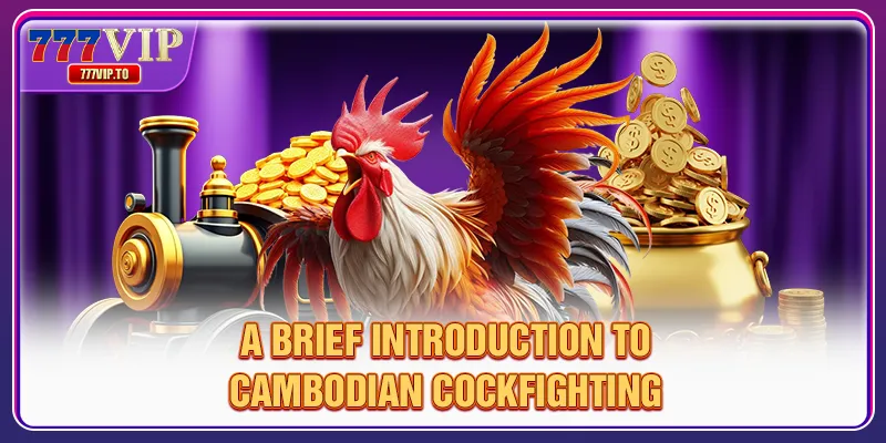 Cambodia Cockfighting Guide - Tips From 777VIP Experts 1 A Brief Introduction to Cambodian Cockfighting