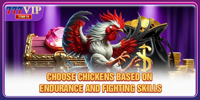 Cockfighting With Knives 777VIP | Golden Rules For Newbies 3 Choose chickens based on endurance and fighting skills