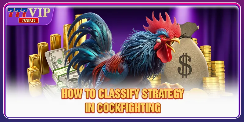 Cambodia Cockfighting Guide - Tips From 777VIP Experts 2 How to classify strategy in cockfighting