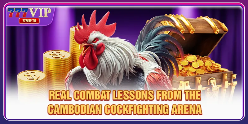 Cambodia Cockfighting Guide - Tips From 777VIP Experts 3 Real combat lessons from the Cambodian cockfighting arena